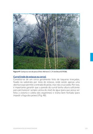 surge da percepção de que a gestão integrada dos recursos hídricos re-
quer sistemático monitoramento tanto da quantidade quanto da quali-
dade das águas, para contribuir com os objetivos de uma economia em
base ambientalmente sustentável e socialmente justa.
O PNQA é um Programa de parcerias, que envolve, além da ANA,
outras instituições relacionadas ao monitoramento de qualidade das
águas, especialmente os órgãos estaduais de recursos hídricos e de
meio ambiente, as companhias de saneamento e as concessionárias de
empreendimentos hidrelétricos.
O objetivo central do PNQA é prover à sociedade um conhecimento
DGHTXDGR VREUH D TXDOLGDGH GDV £JXDV VXSHU÷FLDLV EUDVLOHLUDV GH IRUPD
a subsidiar os tomadores de decisão, contribuindo, assim, com a gestão
VXVWHQW£YHO GRV UHFXUVRV K¯GULFRV RP LVVR R 314$ SUHWHQGH TXDOL÷FDU
D DWXD©¥R GRV HVWDGRV H GD $1$ 6HXV REMHWLYRV HVSHF¯÷FRV V¥R HOLPLQDU
DV ODFXQDV JHRJU£÷FDV H WHPSRUDLV QR PRQLWRUDPHQWR GH 4XDOLGDGH GH
ƒJXD QR %UDVLO DXPHQWDU D FRQ÷DELOLGDGH GDV LQIRUPD©·HV JHUDGDV VREUH
TXDOLGDGHGH£JXDWRUQDURVGDGRVHDVLQIRUPD©·HVGHTXDOLGDGHGH£JXD
FRPSDU£YHLV HP ¤PELWR QDFLRQDO H DYDOLDU GLYXOJDU H GLVSRQLELOL]DU ¢ VR-
ciedade as informações de qualidade de água.
O PNQA está estruturado em quatro componentes: a) Elaboração e
Implementação de uma Rede Nacional de Monitoramento de Qua-
OLGDGH GDV ƒJXDV E 