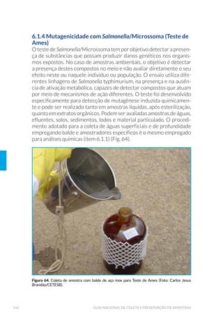 6ROX©¥R GH ƒFLGR 1¯WULFR +123
 