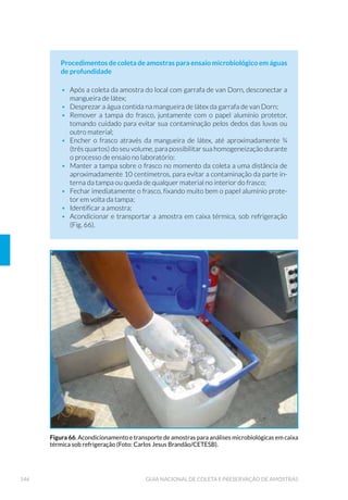 6ROX©¥R GH ƒFLGR 6XOI¼ULFR +2
SO4
) /
ƒFLGR 1¯WULFR +123
 