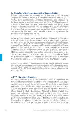 Zona de mistura, formada por dois ou mais tipos de águas que es-
tão em processo de mistura (rio logo a jusante da descarga de um
HøXHQWH RX WULEXW£ULR 