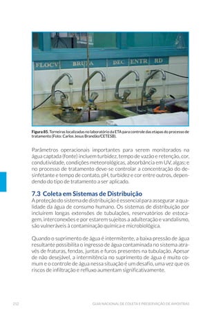 64 GUIA NACIONAL DE COLETA E PRESERVAÇÃO DE AMOSTRAS
Ensaios de mutagenicidade (Teste Ames)
á Limpeza dos recipientes
1. Lavar os frascos e tampas de borossilicato, interna e externamente,
com uma solução de detergente tipo Extran alcalino 0,1%, com au-
xílio de um gaspilhão;
2. Enxaguar de oito a dez vezes com água corrente, até que visual-
mente não se perceba o resíduo do detergente;
3. Lavar com uma solução de ácido sulfúrico/ácido nítrico 10% (6+1);
4. Enxaguar de oito a dez vezes em água corrente e 1 vez em água
destilada ou deionizada;
Figura 6. Dimensões do tecido de gaze para a confecção da mecha para coleta de amostras para
análise de patógenos.
Figura 7. Mecha empregada na técnica de Moore: (A) Esquema; (B) foto da mecha de gase com
meio de transporte (Carry Blair) (Foto: Carlos Jesus Brandão/CETESB).
(A) (B)
 