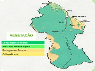 Densa floresta tropical
Inundadas floresta tropical
Pastagens ou Savana
Cultivo da terra
 