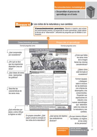 Recomendaciones metodológicas
                                                                   > Desarrollan el proceso ...