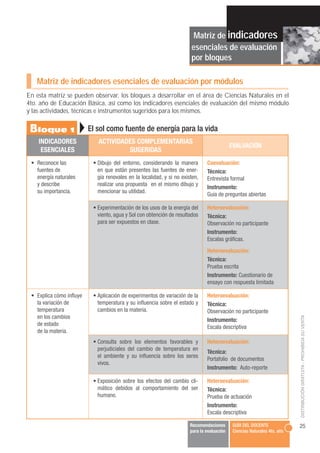 Matriz de indicadores
                                                                        esenciales de evaluación
   ...
