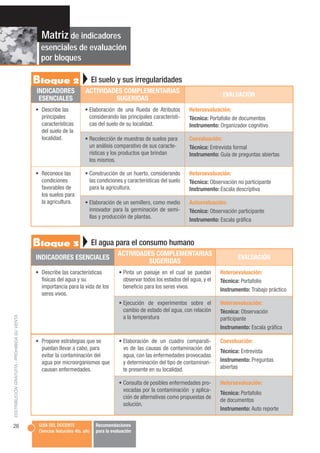 Matriz de indicadores
                                               esenciales de evaluación
                            ...
