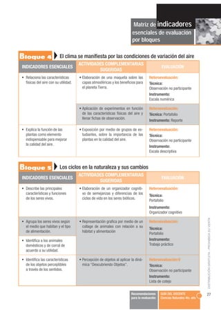 Matriz de indicadores
                                                                         esenciales de evaluación
  ...