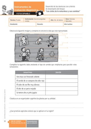 Instrumentos de                                         Desarrollo de las destrezas con criterios
                        ...