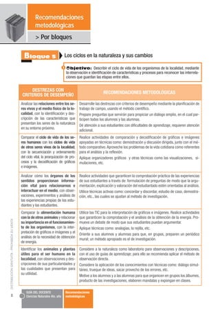 Recomendaciones
                                                        metodológicas
                                    ...