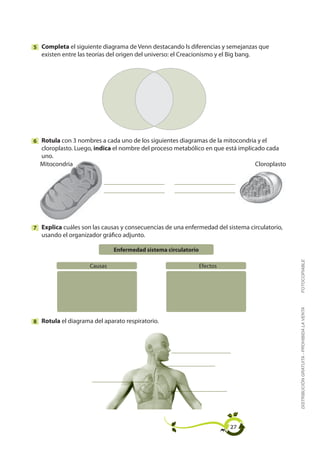 5 Completa el siguiente diagrama de Venn destacando ls diferencias y semejanzas que
  existen entre las teorías del origen del universo: el Creacionismo y el Big bang.




6 Rotula con 3 nombres a cada uno de los siguientes diagramas de la mitocondria y el
  cloroplasto. Luego, indica el nombre del proceso metabólico en que está implicado cada
  uno.
  Mitocondria                                                                   Cloroplasto




7 Explica cuáles son las causas y consecuencias de una enfermedad del sistema circulatorio,
  usando el organizador gráfico adjunto.

                              Enfermedad sistema circulatorio




                                                                                              FOTOCOPIABLE
                    Causas                                      Efectos




                                                                                              DISTRIBUCIÓN GRATUITA - PROHIBIDA LA VENTA



8 Rotula el diagrama del aparato respiratorio.




                                                                           27
 