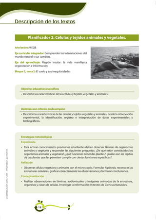 Descripción de los textos


                                                        Planificador 2: Células y tejidos animales y vegetales.

                                             Año lectivo: 9 EGB
                                             Eje curricular integrador: Comprender las interrelaciones del
                                             mundo natural y sus cambios.
                                             Eje del aprendizaje: Región Insular: la vida manifiesta
                                             organización e información.
                                             Bloque 2, tema 2: El suelo y sus irregularidades




                                                  Objetivos educativos especíﬁcos
                                                    Describir las características de las células y tejidos vegetales y animales.




                                                  Destrezas con criterios de desempeño
                                                    Describir las características de las células y tejidos vegetales y animales, desde la observación
                                                    experimental, la identificación, registro e interpretación de datos experimentales y
                                                    bibliográficos.




                                                  Estrategias metodológicas
                                                  Experiencia
DISTRIBUCIÓN GRATUITA - PROHIBIDA LA VENTA




                                                    animales y vegetales y responder las siguientes preguntas: ¿De qué están constituidos los
                                                    organismos animales y vegetales?, ¿qué funciones tienen las plantas?, ¿cuáles son los tejidos
                                                    de las plantas que les permiten cumplir con ciertas funciones específicas?.
                                                  Reflexión

                                                    estructuras celulares, graficar correctamente las observaciones y formular conclusiones.
                                                  Conceptualización

                                                    organelos y clases de células. Investigar la información en textos de Ciencias Naturales.




                                                                  18
 