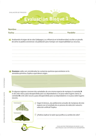 EVALUACIÓN DE PROCESO




                                                                 Evaluación Bloque 1
                                             Nombre:
                                             Fecha:                                                Año:                      Paralelo:


                                             1 Analizando el orígen de las islas Galápagos y su influencia en la biodiversidad, escribe un párrafo
                                               de cómo se podría concienciar a la población para manejar con responsabilidad sus recursos.




                                              2 Enumera cuáles son consideradas las sustancias químicas que existieron en la
                                                atmósfera primitiva. Explica a qué dieron origen.
FOTOCOPIABLE




                                              3 En algunas regiones conviven dos variedades de una misma especie de mariposa: la variedad A
DISTRIBUCIÓN GRATUITA - PROHIBIDA LA VENTA




                                                es de color claro y pasa desapercibida para sus depredadores si se posa sobre lugares claros; la
                                                variedad B es de color oscuro y pasa desapercibida para sus depredadores si se posa sobre lugares
                                                oscuros.

                                                   Variedad A                      Según la lectura, ¿las poblaciones actuales de mariposas de esta
                                                                                   especie son el resultado de un proceso de selección natural o
                                                                                   selección artificial? Explica.


                                                   Variedad B
                                                                                   ¿Podrías explicar la razón que justifica su cambio de color?




                                                                                                              EVALUACIÓN PREPARADA EN BASE A LAS
                                                                28                                          DESTREZAS CON CRITERIOS DE DESEMPEÑO
 