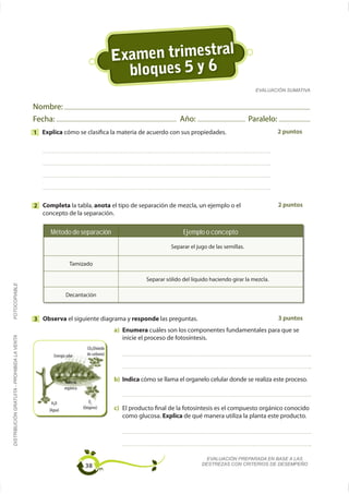 Examen trimestral
                                                                                        bloques 5 y 6
                                                                                                                                                EVALUACIÓN SUMATIVA


                                             Nombre:
                                             Fecha:                                                            Año:                           Paralelo:
                                             1 Explica cómo se clasifica la materia de acuerdo con sus propiedades.                                       2 puntos




                                             2 Completa la tabla, anota el tipo de separación de mezcla, un ejemplo o el                                  2 puntos
                                               concepto de la separación.

                                                   Método de separación                                         Ejemplo o concepto

                                                                                                           Separar el jugo de las semillas.
FOTOCOPIABLE




                                                            Decantación



                                             3 Observa el siguiente diagrama y responde las preguntas.                                                    3 puntos
                                                                                      a) Enumera cuáles son los componentes fundamentales para que se
DISTRIBUCIÓN GRATUITA - PROHIBIDA LA VENTA




                                                                                         inicie el proceso de fotosíntesis.
                                                                        CO2(Dióxido
                                                    Energía solar       de carbono)




                                                           Materia
                                                                                      b) Indica cómo se llama el organelo celular donde se realiza este proceso.
                                                           orgánica


                                                    H2O                   O2
                                                  (Agua)
                                                                      (Oxígeno)       c) El producto final de la fotosíntesis es el compuesto orgánico conocido
                                                                                         como glucosa. Explica de qué manera utiliza la planta este producto.




                                                                                                                          EVALUACIÓN PREPARADA EN BASE A LAS
                                                                       38                                               DESTREZAS CON CRITERIOS DE DESEMPEÑO
 
