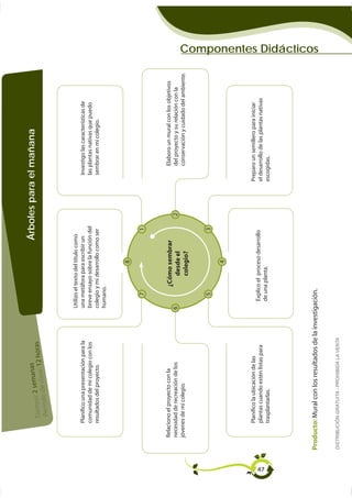 semanas                                              Árboles para el mañana
                Tiempo: 2 clase: 12 horas
                           e
                 Período d



                                                     Utilizo el texto del título como
              Planiﬁco una presentación para la      una metáfora para escribir un             Investigo las características de
              comunidad de mi colegio con los        breve ensayo sobre la función del         las plantas nativas que puedo
              resultados del proyecto.               colegio y mi desarrollo como ser          sembrar en mi colegio.
                                                     humano.


                                                                       8

                                                          7                         1



         Relaciono el proyecto con la                          ¿Cómo sembrar                       Elaboro un mural con los objetivos
         necesidad de recreación de los             6             desde el               2         del proyecto y su relación con la
         jóvenes de mi colegio.                                                                    conservación y cuidado del ambiente.
                                                                  colegio?


                                                          5                         3

                                                                       4




              Planiﬁco la ubicación de las                                                   Preparo un semillero para iniciar
              plantas cuando estén listas para          Explico el proceso desarrollo        el desarrollo de las plantas nativas




47
              trasplantarlas.                           de una planta.                       escogidas.
                                                                                                                                          Componentes Didácticos




     Producto: Mural con los resultados de la investigación.


     DISTRIBUCIÓN GRATUITA - PROHIBIDA LA VENTA
 