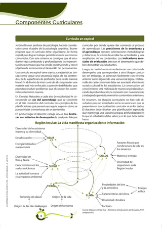 Componentes Curriculares


                                                                                            Currículo en espiral
                                                                                                  -       curricular por donde quiere dar comienzo al proceso
                                             rado como el padre de la psicología cognitiva. Bruner        de aprendizaje. Las precisiones de la enseñanza y
                                             propone que el currículo debe organizarse de forma           el aprendizaje proveen orientaciones metodológicas
                                             espiral para lograr trabajar periódicamente los mismos       y didácticas de cómo desarrollar las actividades y una
                                             contenidos. Con este sistema se consigue que el estu-        ampliación de los contenidos. Los indicadores esen-
                                             diante vaya cambiando y profundizando las represen-          ciales de evaluación precisan el desempeño que de-
                                                                                                          ben demostrar los estudiantes.
                                             objetivo de incrementar el desarrollo del pensamiento.       Luego, se continúa con otras destrezas con criterios de
                                             Un currículo en espiral tiene ciertas características úni-   desempeño que corresponden a otro bloque curricu-
                                             cas; como seguir una secuencia lógica de los conteni-        lar; sin embargo, se conectan fácilmente con el tema
                                             dos, de lo superficial a lo profundo, pero no de manera      anterior como siguiendo una secuencia lógica. El desa-
                                             lineal. En el diseño de éste currículo el comprender una     rrollo de cada contenido debe ser asociado al contexto
                                                                                                          social y cultural de los estudiantes. La construcción del
                                             permitan resolver problemas que el conocer los conte-        conocimiento será realizada de manera espiralada bus-
                                             nidos o términos nuevos.                                     cando la profundización, la conexión con nuevos temas
                                             En Ciencias Naturales a cada año de escolaridad le co-       y trabajando periódicamente los contenidos anteriores.
                                             rresponde un eje del aprendizaje que se convierte                                                                     -
                                                                                                          señados para ser enseñados en la secuencia en que se
                                             planificadores que presenta esta guía sugieren cómo se       presentan en la actualización curricular ni en los textos.
                                             puede iniciar la enseñanza de un contenido.                  El docente debe diseñar una planificación espiralada
                                             En primer lugar el docente escoge una o dos destre-          que mantenga una secuencia lógica profundizando en
                                             zas con criterios de desempeño de cualquier bloque           lo que el estudiante debe saber y en lo que debe saber

                                                               Región Insular: La vida manifiesta organización e información
                                             Diversidad del ecosistema
                                             marino y su diversidad

                                             Desalinización               AGUA
                                                                                                                                                  Factores físicos que
                                             mareomotriz                                                                                          condicionana la vida en
                                                                                                                                                  los desiertos

                                                                                                                             CICLOS               Materia y energía
DISTRIBUCIÓN GRATUITA - PROHIBIDA LA VENTA




                                             Diversidad de
                                             flora y fauna
                                                                                                                                                  Diversidad de
                                             Características en los          SUELO                                                                organismos en la
                                             suelos volcánicos                                                                                    Región Insular


                                             y su impacto ambiental

                                                                                                                                Propiedades del aire
                                                                          TIERRA
                                                                                                                                y la atmósfera                            Energía
                                                                                                                                                                          eólica
                                                                                                                                Características del clima
                                                                                                              CLIMA
                                                                               Origen de la vida
                                                                                                                                Diversidad climática

                                             Origen de las islas Galápagos    Origen del universo                               Factores
                                                                                                          Fuente: Miguel E. Pérez Teca - Ministerio de Educación del Ecuador 2010
                                                                                                          (adaptación)
                                                                      6
 
