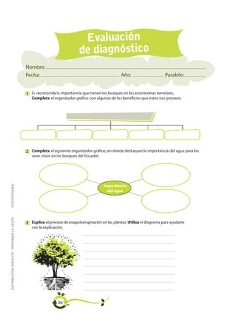 Evaluación
                                                                           de diagnóstico
                                             Nombre:
                                             Fecha:                                                 Año:                     Paralelo:


                                             1 Es reconocida la importancia que tienen los bosques en los ecosistemas terrestres.
                                               Completa el organizador gráfico con algunos de los beneficios que estos nos proveen.




                                             2 Completa el siguiente organizador gráfico, en donde destaques la importancia del agua para los
                                               seres vivos en los bosques del Ecuador.
FOTOCOPIABLE




                                                                                          Importancia
                                                                                            del agua
DISTRIBUCIÓN GRATUITA - PROHIBIDA LA VENTA




                                             3 Explica el proceso de evapotranspiración en las plantas. Utiliza el diagrama para ayudarte
                                               con la explicación.




                                                               26
 