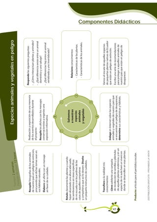 semanas                                 Especies animales y vegetales en peligro
                  Tiempo: 2 clase: 12 horas
                             e
                   Período d

                                                                                                   Respondo las siguientes preguntas:
            Recopilo fotografías de los animales       Realización y exposición de una memoria
            de nuestro país en peligro de extinción,   de los eventos desarrollados durante        - ¿Cómo interactúan plantas y animales?
            procurando que dichas tomas sean en        el proyecto:
                                                                                                   - ¿Qué diferencia existe entre un animal
            sus hábitats naturales.                    Recopilo los afiches con los mensajes         doméstico y uno salvaje?
            Elaboro un afiche con un mensaje           conservacionistas y organizo una
                                                                                                   - ¿Qué diferencias hay entre un animal
            en favor de su cuidado.                    exposición informativa.
                                                                                                     vertebrado y uno invertebrado?

                                                                           8

                                                              7                          1

     Rotulo claramente las plantas y cuando
     hayan alcanzado una altura adecuada,                              Salvemos
                                                                      a nuestras                         Relaciono conocimientos:
     las sembraremos en áreas específicas
     de mi escuela o en los jardines de las             6              especies                2         - Características de las plantas.
     casas de aquellos compañeras                                      animales
                                                                                                         - Características de los animales.
     y compañeros que así lo deseen. Diseño                           y vegetales
     un pequeño instructivo de cuidados.
                                                              5                          3

                                                                           4

            Transfiero a la realidad mis                                                           Vamos al rescate de aquellas especies
            conocimientos:                                                                         de pequeñas plantas nativas de Ecuador
                                                       Indago en Internet sobre las especies       que están en peligro de extinción.
            - Llevo adelante una campaña
                                                       animales y vegetales de nuestro país que




47
              de recolección de semillas y plántulas                                               Escribo una serie de recomendaciones
                                                       se encuentran en peligro de desaparecer,
              de aquellas plantas endémicas, y en un                                               para proteger a aquellos animales de
                                                       determino sus características y hábitats.
              espacio de mi aula haré un vivero en                                                 nuestro país que están en peligro de
              donde se desarrollen en esas plantas.                                                desaparecer.



     Producto: artículo para el periódico escolar.
                                                                                                                                              Componentes Didácticos




     DISTRIBUCIÓN GRATUITA - PROHIBIDA LA VENTA
 