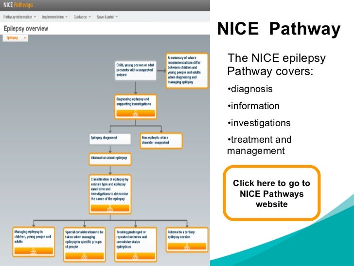 Image Result For Status Epilepticus Guidelines  Blog Kata2