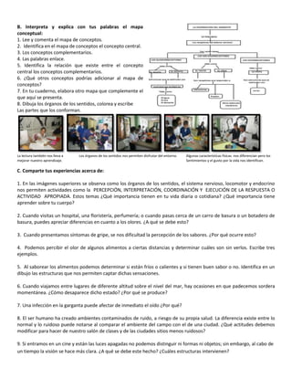 B. Interpreta y explica con tus palabras el mapa
conceptual:
1. Lee y comenta el mapa de conceptos.
2. Identifica en el mapa de conceptos el concepto central.
3. Los conceptos complementarios.
4. Las palabras enlace.
5. Identifica la relación que existe entre el concepto
central los conceptos complementarios.
6. ¿Qué otros conceptos podrías adicionar al mapa de
conceptos?
7. En tu cuaderno, elabora otro mapa que complemente el
que aquí se presenta.
8. Dibuja los órganos de los sentidos, colorea y escribe
Las partes que los conforman.




La lectura también nos lleva a   Los órganos de los sentidos nos permiten disfrutar del entorno.   Algunas características físicas nos diferencian pero los
mejorar nuestro aprendizaje.                                                                       Sentimientos y el gusto por la vida nos identifican.

C. Comparte tus experiencias acerca de:

1. En las imágenes superiores se observa como los órganos de los sentidos, el sistema nervioso, locomotor y endocrino
nos permiten actividades como la PERCEPCIÓN, INTERPRETACIÓN, COORDINACIÓN Y EJECUCIÓN DE LA RESPUESTA O
ACTIVIDAD APROPIADA. Estos temas ¿Qué importancia tienen en tu vida diaria o cotidiana? ¿Qué importancia tiene
aprender sobre tu cuerpo?

2. Cuando visitas un hospital, una floristería, perfumería; o cuando pasas cerca de un carro de basura o un botadero de
basura, puedes apreciar diferencias en cuanto a los olores. ¿A qué se debe esto?

3. Cuando presentamos síntomas de gripe, se nos dificultad la percepción de los sabores. ¿Por qué ocurre esto?

4. Podemos percibir el olor de algunos alimentos a ciertas distancias y determinar cuáles son sin verlos. Escribe tres
ejemplos.

5. Al saborear los alimentos podemos determinar si están fríos o calientes y si tienen buen sabor o no. Identifica en un
dibujo las estructuras que nos permiten captar dichas sensaciones.

6. Cuando viajamos entre lugares de diferente altitud sobre el nivel del mar, hay ocasiones en que padecemos sordera
momentánea. ¿Cómo desaparece dicho estado? ¿Por qué se produce?

7. Una infección en la garganta puede afectar de inmediato el oído ¿Por qué?

8. El ser humano ha creado ambientes contaminados de ruido, a riesgo de su propia salud. La diferencia existe entre lo
normal y lo ruidoso puede notarse al comparar el ambiente del campo con el de una ciudad. ¿Qué actitudes debemos
modificar para hacer de nuestro salón de clases y de las ciudades sitios menos ruidosos?

9. Si entramos en un cine y están las luces apagadas no podemos distinguir ni formas ni objetos; sin embargo, al cabo de
un tiempo la visión se hace más clara. ¿A qué se debe este hecho? ¿Cuáles estructuras intervienen?
 