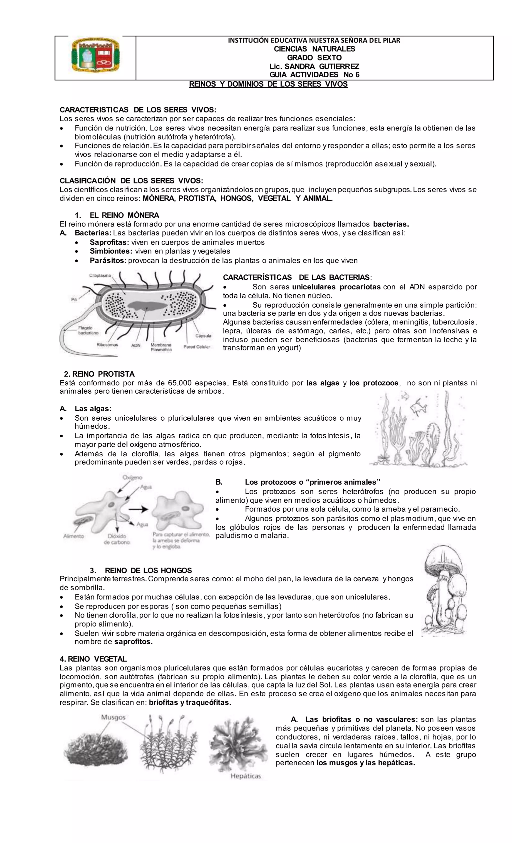 Guia no 6 reino animal | DOCX