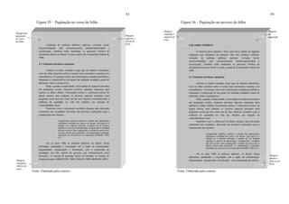 63
Figura 35 – Paginação no verso da folha
Fonte: Elaborada pelos autores.
Avaliação de políticas públicas; pobreza; exclusão social,
intersetorialidade, rede socioassistencial, interdisciplinaridade e
terceirização. Também serão analisados os percursos Política de
Assistência Social no Brasil e Ceará, a partir da Constituição Federal de
1988.
4.1 Tentando entrelaçar categorias
Analisar os dados coletados exige agir de maneira sistemática,
com um olhar criterioso sobre os temas mais recorrentes, ausentes e/ou
contraditórios. O esmiuçar crítico das informações coletadas possibilita a
integração e composição de um painel da realidade estudada a partir de
diferentes visões e perspectivas.
Dada a grande complexidade e diversidade de aspectos presentes
em programas sociais, tentamos priorizar algumas categorias para
analisar os dados obtidos. Procuramos utilizar o referencial teórico de
alguns autores para embasar os diversos aspectos presentes num
programa social que tem como um de seus objetivos contribuir para a
melhoria da qualidade de vida das famílias em situação de
vulnerabilidade social.
Propomos com o referencial escolhido alcançar uma discussão
consistente dos resultados, derivando daí possíveis explicações para a
compreensão dos mesmos.
Compreender significa explicar o sentido das significações
atribuídas à realidade das coisas e do mundo. Seja qual for o
método ou a maneira utilizada, é próprio do ser humano
significar e através da interpretação, compreender a realidade
que nos envolve. Para compreender o sentido de nossos atos,
é preciso passar pela explicação. A compreensão é resultado,
inacabado, de um processo de explicação (GHEDIN, 2009,
p.7).
Até os anos 1980 as políticas públicas, no Brasil, foram
delineadas, planejadas e executadas sob a égide da centralização,
fragmentação, superposição e focalização, sem a proposição de
estratégias nas três esferas de governo que minimizassem essas
distorções. O sistema de proteção social era baseado no modelo do
Estado provedor (ARRETCHE, 2000; FARAH, 2000; MORONI, 2007).
Margem
superior e
direita do
texto
Margem
esquerda e
inferior do
texto
Margem da
paginação
no verso
da folha
2 cm
3 cm
2 cm
87
64
Figura 36 – Paginação no anverso da folha
Fonte: Elaborada pelos autores.
4 QUADRO TEÓRICO
O objetivo deste capítulo é fazer uma breve análise de algumas
categorias que utilizamos na pesquisa. São elas: políticas públicas;
avaliação de políticas públicas; pobreza; exclusão social,
intersetorialidade, rede socioassistencial, interdisciplinaridade e
terceirização. Também serão analisados os percursos Política de
Assistência Social no Brasil e Ceará, a partir da Constituição Federal de
1988.
4.1 Tentando entrelaçar categorias
Analisar os dados coletados exige agir de maneira sistemática,
com um olhar criterioso sobre os temas mais recorrentes, ausentes e/ou
contraditórios. O esmiuçar crítico das informações coletadas possibilita a
integração e composição de um painel da realidade estudada a partir de
diferentes visões e perspectivas.
Dada a grande complexidade e diversidade de aspectos presentes
em programas sociais, tentamos priorizar algumas categorias para
analisar os dados obtidos. Procuramos utilizar o referencial teórico de
alguns autores para embasar os diversos aspectos presentes num
programa social que tem como um de seus objetivos contribuir para a
melhoria da qualidade de vida das famílias em situação de
vulnerabilidade social.
Propomos com o referencial escolhido alcançar uma discussão
consistente dos resultados, derivando daí possíveis explicações para a
compreensão dos mesmos.
Compreender significa explicar o sentido das significações
atribuídas à realidade das coisas e do mundo. Seja qual for o
método ou a maneira utilizada, é próprio do ser humano
significar e através da interpretação, compreender a realidade
que nos envolve. Para compreender o sentido de nossos atos, é
preciso passar pela explicação. A compreensão é resultado,
inacabado, de um processo de explicação (GHEDIN, 2009, p.7).
Até os anos 1980 as políticas públicas, no Brasil, foram
delineadas, planejadas e executadas sob a égide da centralização,
fragmentação, superposição e focalização, sem a proposição de esferas
Margem
esquerda e
superior do
texto
Margem
direita e
inferior do
texto
Margem
da
paginação
2 cm
3 cm
2 cm
87
 