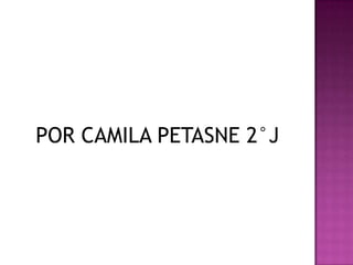 POR CAMILA PETASNE 2°J
 