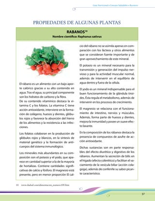 Guía Nutricional • Consejos Saludables • Recetario
37
PROPIEDADES DE ALGUNAS PLANTAS
RABANOS10
Nombre científico: Raphanus sativus
10	www.dsalud.com/alimentacion_numero109.htm
El rábano es un alimento con un bajo apor-
te calórico gracias a su alto contenido en
agua.Tras el agua, su principal componente
son los hidratos de carbono y la fibra.
De su contenido vitamínico destaca la vi-
tamina C y los folatos. La vitamina C tiene
acción antioxidante, interviene en la forma-
ción de colágeno, huesos y dientes, glóbu-
los rojos y favorece la absorción del hierro
de los alimentos y la resistencia a las infec-
ciones.
Los folatos colaboran en la producción de
glóbulos rojos y blancos, en la síntesis de
material genético y la formación de anti-
cuerpos del sistema inmunológico.
Los minerales más abundantes en su com-
posición son el potasio y el yodo, que apa-
rece en cantidad superior a la de la mayoría
de hortalizas. Contiene cantidades signifi-
cativas de calcio y fósforo. El magnesio está
presente, pero en menor proporción El cal-
cio del rábano no se asimila apenas en com-
paración con los lácteos y otros alimentos
que se consideran fuente importante y de
gran aprovechamiento de este mineral.
El potasio es un mineral necesario para la
transmisión y generación del impulso ner-
vioso y para la actividad muscular normal,
además de intervenir en el equilibrio de
agua dentro y fuera de la célula.
El yodo es un mineral indispensable para el
buen funcionamiento de la glándula tiroi-
des. Ésta regula el metabolismo, además de
intervenir en los procesos de crecimiento.
El magnesio se relaciona con el funciona-
miento de intestino, nervios y músculos.
Además, forma parte de huesos y dientes,
mejora la inmunidad y posee un suave efec-
to laxante.
En la composición de los rábanos destaca la
presencia de compuestos de azufre de ac-
ción antioxidante.
Dichas sustancias son en parte responsa-
bles del efecto diurético y digestivo de los
rábanos. Aumentan la secreción de bilis en
el hígado (efecto colerético) y facilitan el va-
ciamiento de la vesícula biliar (acción cola-
goga), además de conferirle su sabor pican-
te característico.
 