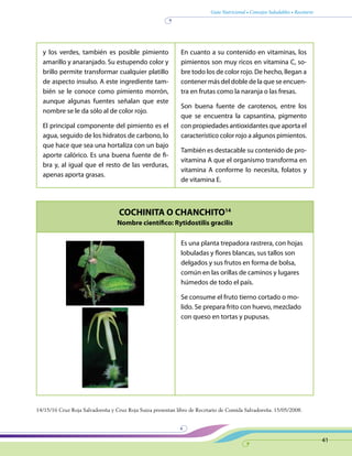 Guía Nutricional • Consejos Saludables • Recetario
41
COCHINITA O CHANCHITO14
Nombre científico: Rytidostilis gracilis
y los verdes, también es posible pimiento
amarillo y anaranjado. Su estupendo color y
brillo permite transformar cualquier platillo
de aspecto insulso. A este ingrediente tam-
bién se le conoce como pimiento morrón,
aunque algunas fuentes señalan que este
nombre se le da sólo al de color rojo.
El principal componente del pimiento es el
agua, seguido de los hidratos de carbono, lo
que hace que sea una hortaliza con un bajo
aporte calórico. Es una buena fuente de fi-
bra y, al igual que el resto de las verduras,
apenas aporta grasas.
En cuanto a su contenido en vitaminas, los
pimientos son muy ricos en vitamina C, so-
bre todo los de color rojo. De hecho, llegan a
contener más del doble de la que se encuen-
tra en frutas como la naranja o las fresas.
Son buena fuente de carotenos, entre los
que se encuentra la capsantina, pigmento
con propiedades antioxidantes que aporta el
característico color rojo a algunos pimientos.
También es destacable su contenido de pro-
vitamina A que el organismo transforma en
vitamina A conforme lo necesita, folatos y
de vitamina E.
Es una planta trepadora rastrera, con hojas
lobuladas y flores blancas, sus tallos son
delgados y sus frutos en forma de bolsa,
común en las orillas de caminos y lugares
húmedos de todo el país.
Se consume el fruto tierno cortado o mo-
lido. Se prepara frito con huevo, mezclado
con queso en tortas y pupusas.
14/15/16 Cruz Roja Salvadoreña y Cruz Roja Suiza presentan libro de Recetario de Comida Salvadoreña. 15/05/2008.
 