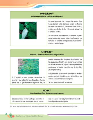42 Guía Nutricional • Consejos Saludables • Recetario
PAPELILLO15
Nombre científico: Sinclairia sublobata
CHIPILIN16
Nombre Científico: Crotalaria longirostrata
MORA17
Nombre Científico: Solanum americanum
Es un arbusto de 1 a 2 mtros. De altura. Sus
hojas tienen orilla dentada y son en forma
de rombo o de lanza, terminando en punta;
miden alrededor de 6 a 10 cms de alto y 5 a
8 cms de ancho.
Se utilizan las hojas tiernas y con ellas se pre-
paran pupusas, sopas, fritas con huevo o en
tortas o en tortillas enriquecidas nutricional-
mente con las hojas.
El “Chipilín” es una planta comestible. Su
aroma y su sabor lo han llevado a formar
parte de la gastronomía regional. Así, se
puede saborear los tamales de chipilín, en
las pupusas, chipilín con camarón y bolitas
de masa, chipilín en sopas o arroz y también
enriquece el valor nutritivo de la tortilla.
¡Buen provecho¡
Las personas que tienen problemas de he-
patitis, cirrosis hepática, son alcohólicas no
deben consumir mucho chipilín.
Se usa para combatir la anemia.
Se acostumbra comer las hojas hervidas o
cocidas, fritas con huevo, en tortas, pupu-
sas, en sopas o arroz y también en las torti-
llas al igual que el chipilín.
17	 Cruz Roja Salvadoreña y Cruz Roja Suiza presentan libro de Recetario de Comida Salvadoreña. 15/05/2008.
 