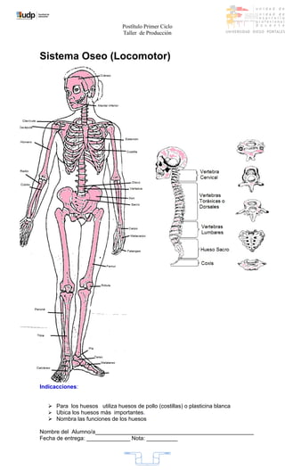 Postïtulo Primer Ciclo
                                Taller de Producción



Sistema Oseo (Locomotor)




Indicacciones:


    Para los huesos utiliza huesos de pollo (costillas) o plasticina blanca
    Ubica los huesos màs importantes.
    Nombra las funciones de los huesos

Nombre del Alumno/a___________________________________________________
Fecha de entrega: ______________ Nota: __________




                                          3
 
