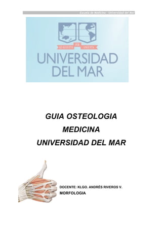 Escuela de Medicina - Universidad del Mar
GUIA OSTEOLOGIA
MEDICINA
UNIVERSIDAD DEL MAR
DOCENTE: KLGO. ANDRÉS RIVEROS V.
MORFOLOGIA
 