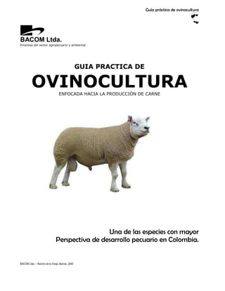 Guía práctica de ovinocultura




BACOM Ltda.
Empresa del sector agropecuario y ambiental




                            ...
