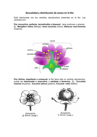 Sexualidad y distribución de sexos en la flor

Está relacionada con los verticilos reproductivos presentes en la flor. Las...