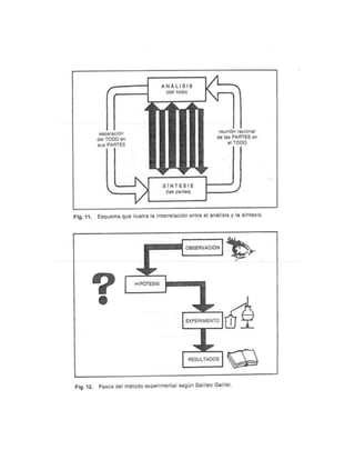 Guia para elaborar la tesis