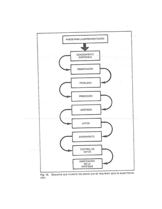 Guia para elaborar la tesis