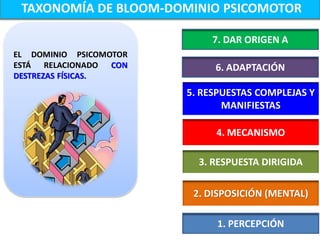 TAXONOMÍA DE BLOOM-DOMINIO PSICOMOTOR

                             7. DAR ORIGEN A
EL DOMINIO PSICOMOTOR
ESTÁ RELACIONADO CON         6. ADAPTACIÓN
DESTREZAS FÍSICAS.
                        5. RESPUESTAS COMPLEJAS Y
                               MANIFIESTAS

                             4. MECANISMO

                          3. RESPUESTA DIRIGIDA

                         2. DISPOSICIÓN (MENTAL)

                             1. PERCEPCIÓN
 