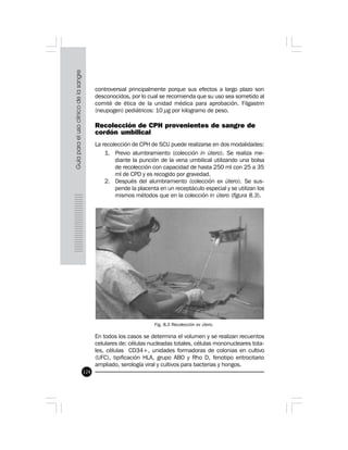 124
controversial principalmente porque sus efectos a largo plazo son
desconocidos, por lo cual se recomienda que su uso sea sometido al
comité de ética de la unidad médica para aprobación. Filgastrin
(neupogen) pediátricos: 10 µg por kilogramo de peso.
Recolección de CPH provenientes de sangre de
cordón umbilical
La recolección de CPH de SCU puede realizarse en dos modalidades:
1. Previo alumbramiento (colección in útero). Se realiza me-
diante la punción de la vena umbilical utilizando una bolsa
de recolección con capacidad de hasta 250 ml con 25 a 35
ml de CPD y es recogido por gravedad.
2. Después del alumbramiento (colección ex útero). Se sus-
pende la placenta en un receptáculo especial y se utilizan los
mismos métodos que en la colección in útero (figura 8.3).
Fig. 8.3 Recolección ex útero.
En todos los casos se determina el volumen y se realizan recuentos
celulares de: células nucleadas totales, células mononucleares tota-
les, células CD34+, unidades formadoras de colonias en cultivo
(UFC), tipificación HLA, grupo ABO y Rho D, fenotipo eritrocitario
ampliado, serología viral y cultivos para bacterias y hongos.
 