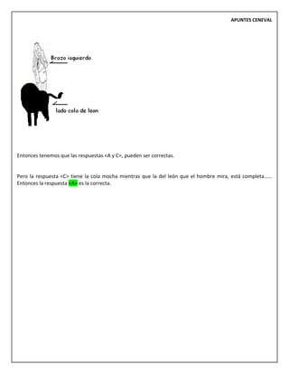 APUNTES CENEVAL
Entonces tenemos que las respuestas <A y C>, pueden ser correctas.
Pero la respuesta <C> tiene la cola mocha mientras que la del león que el hombre mira, está completa……
Entonces la respuesta <A> es la correcta.
 