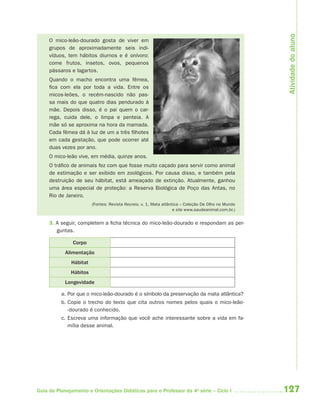 Atividade do aluno
     O mico-leão-dourado gosta de viver em
     grupos de aproximadamente seis indi-
     víduos, tem hábitos diurnos e é onívoro:
     come frutos, insetos, ovos, pequenos
     pássaros e lagartos.
     Quando o macho encontra uma fêmea,
     fica com ela por toda a vida. Entre os
     micos-leões, o recém-nascido não pas-
     sa mais do que quatro dias pendurado à
     mãe. Depois disso, é o pai quem o car-
     rega, cuida dele, o limpa e penteia. A
     mãe só se aproxima na hora da mamada.
     Cada fêmea dá à luz de um a três filhotes
     em cada gestação, que pode ocorrer até
     duas vezes por ano.
     O mico-leão vive, em média, quinze anos.
     O tráfico de animais fez com que fosse muito caçado para servir como animal
     de estimação e ser exibido em zoológicos. Por causa disso, e também pela
     destruição de seu hábitat, está ameaçado de extinção. Atualmente, ganhou
     uma área especial de proteção: a Reserva Biológica de Poço das Antas, no
     Rio de Janeiro.
                        (Fontes: Revista Recreio, v. 1, Mata atlântica – Coleção De Olho no Mundo
                                                                   e site www.saudeanimal.com.br.)


     3. A seguir, completem a ficha técnica do mico-leão-dourado e respondam as per-
        guntas.

               Corpo
            Alimentação
              Hábitat
              Hábitos
            Longevidade

          a. Por que o mico-leão-dourado é o símbolo da preservação da mata atlântica?
          b. Copie o trecho do texto que cita outros nomes pelos quais o mico-leão-
             -dourado é conhecido.
          c. Escreva uma informação que você ache interessante sobre a vida em fa-
             mília desse animal.




Guia de Planejamento e Orientações Didáticas para o Professor da 4a série – Ciclo I                  127
 