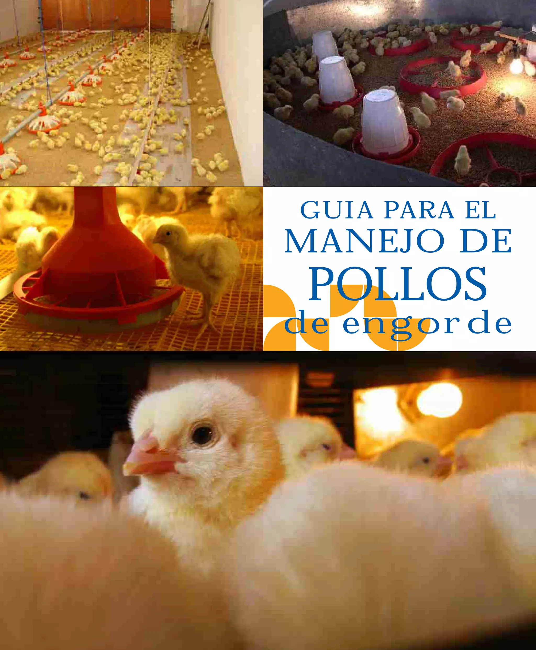 Guia pollo de engorde | PDF | Pet Supplies | Pets