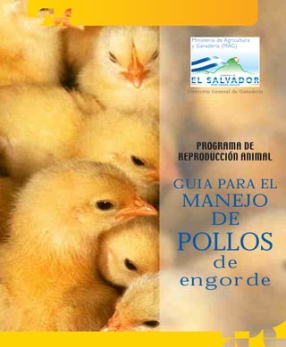 PROGRAMA DE
REPRODUCCIÓN ANIMAL
Dirección General de Ganadería
GUIA PARA EL
MANEJO
DE
POLLOS
de
engorde
 