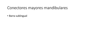 Conectores mayores mandibulares
• Barra sublingual
 