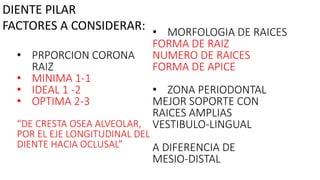 • PRPORCION CORONA
RAIZ
• MINIMA 1-1
• IDEAL 1 -2
• OPTIMA 2-3
“DE CRESTA OSEA ALVEOLAR,
POR EL EJE LONGITUDINAL DEL
DIENTE HACIA OCLUSAL”
• MORFOLOGIA DE RAICES
FORMA DE RAIZ
NUMERO DE RAICES
FORMA DE APICE
• ZONA PERIODONTAL
MEJOR SOPORTE CON
RAICES AMPLIAS
VESTIBULO-LINGUAL
A DIFERENCIA DE
MESIO-DISTAL
DIENTE PILAR
FACTORES A CONSIDERAR:
 