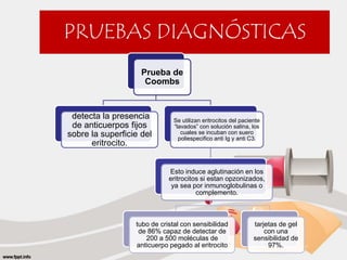 PRUEBAS DIAGNÓSTICAS 
Prueba de 
Coombs 
detecta la presencia 
de anticuerpos fijos 
sobre la superficie del 
eritrocito. 
Se utilizan eritrocitos del paciente 
“lavados” con solución salina, los 
cuales se incuban con suero 
poliespecifico anti Ig y anti C3. 
Esto induce aglutinación en los 
eritrocitos si estan opzonizados, 
ya sea por inmunoglobulinas o 
complemento. 
tubo de cristal con sensibilidad 
de 86% capaz de detectar de 
200 a 500 moléculas de 
anticuerpo pegado al eritrocito 
tarjetas de gel 
con una 
sensibilidad de 
97%. 
 