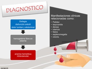 Disfagia 
disfunción eréctil 
dolor lumbar y abdominal 
hemoglobina libre en 
plasma 
anemia hemolítica 
intravascular. 
Manifestaciones clínicas 
relacionadas como: 
• Palidez 
• taquicardia 
• disnea 
• ictericia 
• fiebre 
• esplenomegalia 
• coluria. 
 