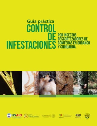 Guía práctica
Control
de
infestaciones
por insectos
descortezadores de
coníferas en Durango
y Chihuahua
 