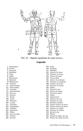 Guia Prático de Enfermagem - 79
Legenda
1. Superciliares
2. Frontal
3. Temporal
4. Mastóidea
5. Nasal
6. Labial
7. Mentoniana
8. Palpebral
9. Masseteriana
10. Geniana
11. Supra-hióidea
12. Infra-hióidea
13. Carotídea
14. Supraclavicular
15. Da nuca
16. Esternal
17. Dorsal
18. Costal
19. Marmária
20. Lombar
21. Costoilíca
22. Suprapública
23. Umbilical
24. Abdominal
25. Púbica
26. Sacrococcígea
27. Peniana
28. Escrotal
29. Axilar
30. Escapular
31. Deltóidea
32. Anterior do braço
33. Posterior do braço
34. Flexura do braço
35. Fossa cubital
36. Interior do antebraço
37. Posterior do antebraço
38. Anterior do punho
39. Posterior do punho
40. Palmar
41. Dorsal da mão
42. Palmar dos dedos
43. Porsal dos dedos
44. Glútea
45. Inguinocrural
46. Anterior da coxa
47. Posterior da coxa
48. Rotuliana poplítea
49. Ântero-externa da perna
50. Póstero-interna da perna
51. Anterior do artelho
52. Posterior do artelho
53. Dorsal do pé
54. Plantar
55. Dorsal dos dedos dos pés
56. Plantar dos dedos dos pés
 