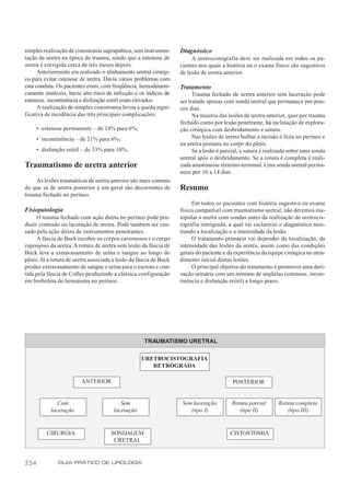 simples realização de cistostomia suprapúbica, sem instrumen-      Diagnóstico
tação de uretra na época do trauma, sendo que a estenose de             A uretrocistografia deve ser realizada em todos os pa-
uretra é corrigida cerca de três meses depois.                     cientes nos quais a história ou o exame físico são sugestivos
      Anteriormente era realizado o alinhamento uretral cirúrgi-   de lesão de uretra anterior.
co para evitar estenose de uretra. Havia vários problemas com
esta conduta. Os pacientes eram, com freqüência, hemodinami-       Tratamento
camente instáveis, havia alto risco de infecção e os índices de          Trauma fechado de uretra anterior sem laceração pode
estenose, incontinência e disfunção erétil eram elevados.          ser tratado apenas com sonda uretral que permanece por pou-
      A realização de simples cistostomia levou a queda signi-     cos dias.
ficativa de incidência das três principais complicações:                 Na maioria das lesões de uretra anterior, quer por trauma
                                                                   fechado como por lesão penetrante, há inclinação de explora-
      • estenose permanente – de 14% para 6%;                      ção cirúrgica com desbridamento e sutura.
      • incontinência – de 21% para 6%;                                  Nas lesões de uretra bulbar a incisão é feita no períneo e
                                                                   na uretra peniana no corpo do pênis.
      • disfunção erétil – de 33% para 10%.                              Se a lesão é parcial, a sutura é realizada sobre uma sonda
                                                                   uretral após o desbridamento. Se a rotura é completa é reali-
Traumatismo de uretra anterior                                     zada anastomose término-terminal. Uma sonda uretral perma-
                                                                   nece por 10 a 14 dias.
     As lesões traumáticas de uretra anterior são mais comuns
do que as de uretra posterior e em geral são decorrentes de        Resumo
trauma fechado no períneo.
                                                                        Em todos os pacientes com história sugestiva ou exame
Fisiopatologia                                                     físico compatível com traumatismo uretral, não devemos ma-
     O trauma fechado com ação direta no períneo pode pro-         nipular a uretra com sondas antes da realização de uretrocis-
duzir contusão ou laceração de uretra. Pode também ser cau-        tografia retrógrada, a qual vai esclarecer o diagnóstico mos-
sado pela ação direta de instrumentos penetrantes.                 trando a localização e a intensidade da lesão.
     A fáscia de Buck recobre os corpos cavernosos e o corpo            O tratamento primário vai depender da localização, da
esponjoso da uretra. A rotura de uretra sem lesão da fáscia de     intensidade das lesões da uretra, assim como das condições
Buck leva a extravasamento de urina e sangue ao longo do           gerais do paciente e da experiência da equipe cirúrgica no aten-
pênis. Já a rotura de uretra associada a lesão da fáscia de Buck   dimento inicial destas lesões.
produz extravasamento de sangue e urina para o escroto e con-           O principal objetivo do tratamento é promover uma deri-
tida pela fáscia de Colles produzindo a clássica configuração      vação urinária com um mínimo de seqüelas (estenose, incon-
em borboleta do hematoma no períneo.                               tinência e disfunção erétil) a longo prazo.




                                                    TRAUMATISMO URETRAL

                                                   URETROCISTOGRAFIA
                                                      RETRÓGRADA

                        ANTERIOR                                                          POSTERIOR


              Com                         Sem                       Sem laceração        Rotura parcial       Rotura completa
           laceração                   laceração                       (tipo I)             (tipo II)            (tipo III)


          CIRURGIA                   SONDAGEM                                            CISTOSTOMIA
                                      URETRAL


254           GUIA PRÁTICO DE UROLOGIA
 