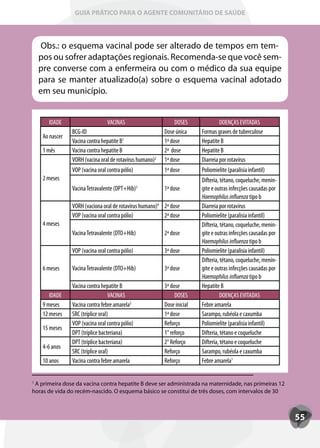 GUIA PRÁTICO PARA O AGENTE COMUNITÁRIO DE SAÚDE



  Obs.: o esquema vacinal pode ser alterado de tempos em tem-
  pos ou sofrer adaptações regionais. Recomenda-se que você sem-
  pre converse com a enfermeira ou com o médico da sua equipe
  para se manter atualizado(a) sobre o esquema vacinal adotado
  em seu município.


      IDADE                     VACINAS                        DOSES              DOENÇAS EVITADAS
                BCG-ID                                    Dose única     Formas graves de tuberculose
    Ao nascer
                Vacina contra hepatite B1                 1ª dose        Hepatite B
    1 mês       Vacina contra hepatite B                  2ª dose        Hepatite B
                VORH (vacina oral de rotavírus humano)2   1ª dose        Diarreia por rotavírus
                VOP (vacina oral contra pólio)            1ª dose        Poliomielite (paralisia infantil)
    2 meses                                                              Difteria, tétano, coqueluche, menin-
                Vacina Tetravalente (DPT+Hib)3            1ª dose        gite e outras infecções causadas por
                                                                         Haemophilus influenza tipo b
                VORH (vaciona oral de rotavírus humano)4 2ª dose         Diarreia por rotavírus
                VOP (vacina oral contra pólio)           2ª dose         Poliomielite (paralisia infantil)
    4 meses                                                              Difteria, tétano, coqueluche, menin-
                Vacina Tetravalente (DTO+Hib)             2ª dose        gite e outras infecções causadas por
                                                                         Haemophilus influenza tipo b
                VOP (vacina oral contra pólio)            3ª dose        Poliomielite (paralisia infantil)
                                                                         Difteria, tétano, coqueluche, menin-
    6 meses     Vacina Tetravalente (DTO+Hib)             3ª dose        gite e outras infecções causadas por
                                                                         Haemophilus influenza tipo b
                Vacina contra hepatite B                  3ª dose        Hepatite B
       IDADE                       VACINAS                     DOSES               DOENÇAS EVITADAS
    9 meses     Vacina contra febre amarela5              Dose inicial   Febre amarela
    12 meses    SRC (tríplice oral)                       1ª dose        Sarampo, rubéola e caxumba
                VOP (vacina oral contra pólio)            Reforço        Poliomielite (paralisia infantil)
    15 meses
                DPT (tríplice bacteriana)                 1° reforço     Difteria, tétano e coqueluche
                DPT (tríplice bacteriana)                 2° Reforço     Difteria, tétano e coqueluche
    4-6 anos
                SRC (tríplice oral)                       Reforço        Sarampo, rubéola e caxumba
    10 anos     Vacina contra febre amarela               Reforço        Febre amarela1


1
  A primeira dose da vacina contra hepatite B deve ser administrada na maternidade, nas primeiras 12
horas de vida do recém-nascido. O esquema básico se constitui de três doses, com intervalos de 30



                                                                                                                55
 