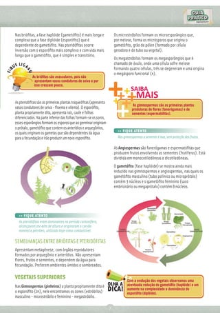 Nas brióﬁtas, a fase haplóide (gametóﬁto) é mais longa e              Os microstróbilos formam os microesporângios que,
complexa que a fase diplóide (esporóﬁto) que é                        por meiose, forma os micrósporos que origina o
dependente do gametóﬁto. Nas pteridóﬁtas ocorre                       gametóﬁto, grão de pólen (formado por célula
inversão com o esporóﬁto mais complexo e com vida mais                geradora e do tubo ou vegetal).
longa que o gametóﬁto, que é simples e transitório.
                                                                      Os megastróbilos formam os megasporângios que é
                                                                      chamado de óvulo, onde uma célula sofre meiose
                                                                      formando quatro células, três se degeneram e uma origina
                                                                      o megásporo funcional (n).
            As brióﬁtas são avasculares, pois não
              apresentam vasos condutores de seiva e por
             isso crescem pouco.



As pteridóﬁtas são as primeiras plantas traqueóﬁtas (apresenta
                                                                                   As gimnospermas são as primeiras plantas
vasos condutores de seiva - ﬂoema e xilema). O esporóﬁto,                         produtoras de ﬂores (fanerógamas) e de
planta propriamente dita, apresenta raiz, caule e folhas                          sementes (espermatóﬁtas).
diferenciados. Na parte inferior das folhas formam-se os soros,
esses esporângios formam os esporos que ao germinar originam
o prótalo, gametóﬁto que contem os anterídios e arquegônios,
                                                                        >> FIQUE ATENTO
os quais originam os gametas que são dependentes da água
para a fecundação e irão produzir um novo esporóﬁto.                    Nas gimnospermas a semente é nua, sem proteção dos frutos.

                                                                      As Angiospermas são fanerógamas e espermatóﬁtas que
                                                                      produzem frutos envolvendo as sementes (frutíferas). Está
                                                                      dividida em monocotiledôneas e dicotiledôneas.
                                                                      O gametóﬁto (fase haplóide) se mostra ainda mais
                                                                      reduzido nas gimnospermas e angiospermas, nas quais os
                                                                      gametóﬁto masculino (tubo polínico ou microprótalo)
                                                                      contém 3 núcleos e o gametóﬁto feminino (saco
                                                                      embrionário ou megaprótalo) contém 8 núcleos.




  >> FIQUE ATENTO
  As pteridóﬁtas eram dominantes no período carbonífero,
  alcançavam ate 40m de altura e originaram o carvão
  mineral e petróleo, utilizado hoje como combustível.

SEMELHANÇAS ENTRE BRIÓFITAS E PTERIDÓFITAS
Apresentam metagênese, com órgãos reprodutores
formados por arquegônio e anterídios. Não apresentam
ﬂores, frutos e sementes, e dependem da água para
fecundação. Preferem ambientes úmidos e sombreados.

VEGETAIS SUPERIORES                                                           Com a evolução dos vegetais observamos uma
Nas Gimnospermas (pinheiros) a planta propriamente dita é                     acentuada redução do gametóﬁto (haplóide) e um
                                                                              aumento na complexidade e dominância do
o esporóﬁto (2n), nele encontramos os cones (estróbilos)                      esporóﬁto (diplóide).
masculino - microstróbilo e feminino - megastróbilo.

                                                                  7
 