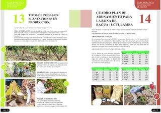 pág. 34
GUIA PRACTICA
PARA PRODUCTORES
DE CACAO
13
TIPOS DE PODAS EN
PLANTACIONES EN
PRODUCCIÓN.
Lostiposdepodaqueserealizanenlasplantacionesdecacaoson:
Este tipo de poda se inicia a partir del primer mes después de
haberrealizadoelinjertoy continuamoshaciéndolahastaelfinalproduccióndecacao.
Esta poda garantiza el desarrollo y crecimiento adecuado de la planta de cacao, es
importante
Formar un tallo principal a una altura de 80 cm, a partir de ésta se deben formar las ramas
bien distribuidas dejando una horqueta con 3 a 4 ramas, formando la estructura de la planta
decacaoconramasproporcionadasbiendistribuidasy bienorientadas(A).
PODA DE FORMACIÓN
A
B
C
PODA DE MANTENIMIENTO Esta poda permite
mantener la forma de la planta y la altura adecuada
de 3 metros para facilitar la cosecha (B).
D
PODA SANITARIA Por lo general la hacemos en
plantaciones de cacao abandonadas, que no han
tenido manejo en varios años y sirve para recuperar
su capacidad productiva ©
PODA DE REHABILITACIÓN
Este tipo de poda consiste en cambiar la
estructura de la planta vieja o mal manejada
y convertirla en una planta nueva altamente
productiva y tolerante a plagas y enfermedades .(D)
ABONAMIENTOENVIVERO
Se recomienda el uso del productoAVIBIOL en esta etapa, la dosis es de 1.5 a 2.0 L/mochila de 20
litros y la aplicación se debe realizar de forma foliar y tipo “drench” que es la aplicación al cuello de
la planta con aplicadores tipo spray.Además se recomienda el uso de Trichoderma sp. en forma de
drench, esto facilita al desarrollo de mayor masa radicular y contar con una planta libre de
patógenosy protegidaparaelestablecimientoencampodefinitivo
ABONAMIENTO EN PLANTACION ESTABLECIDA
Con los análisis de suelos obtenidos por medio
de la Fundación AVSI, se desarrolló los cálculos
para el plan de fertilización para las diferentes
etapas del cultivo en edades, en función del
requerimiento nutricional del cultivo de cacao y
lascondicionesedafoclimáticas
REQUERIMIENTO DE NUTRIENTES: ALTA,
Edad N K O2P O2 5
0 - 1 año
1 - 2 años
2 - 3 años
3 - 4 años
4 a más
50
90
140
180
240
29
40
52
66
80
52
93
135
200
270
REQUERIMIENTO DE NUTRIENTES: ALTA,
Edad N K O2P O2 5
0 - 1 año
1 - 2 años
2 - 3 años
3 - 4 años
4 a más
50
90
140
170
200
35
35
45
45
45
53
79
105
160
210
REQUERIMIENTO DE NUTRIENTES: ALTA,
Edad N K O2P O2 5
0 - 1 año
1 - 2 años
2 - 3 años
3 - 4 años
4 a más
35
52
69
104
138
29
29
29
45
29
45
68
90
160
180
14
pág. 35
GUIA PRACTICA
PARA PRODUCTORES
DE CACAO
Antes de iniciar cualquier tipo de fertilización es preciso conocer el nivel de fertilidad natural
del suelo.
Este diagnóstico se hará por medio de análisis de suelo y/o análisis foliar.
CUADRO PLAN DE
ABONAMIENTO PARA
LA ZONA DE
BAGUA - UCTUBAMBA
 